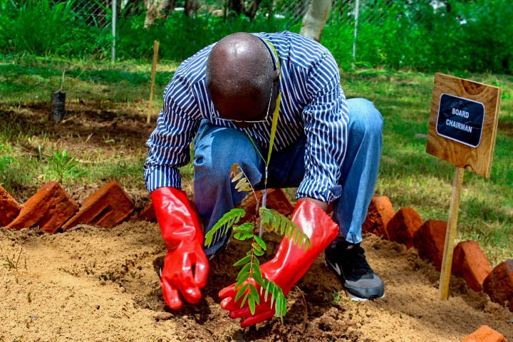 Kamuzu Academy Annual Tree Planting exercise 2025 - Image 18